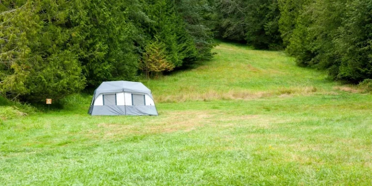 A peaceful campsite with a tent in a grassy clearing surrounded by forest on Pender Island