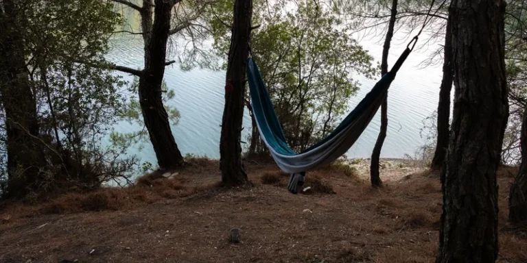 A peaceful setup of a hammock hanging between trees by a lake in a forest setting