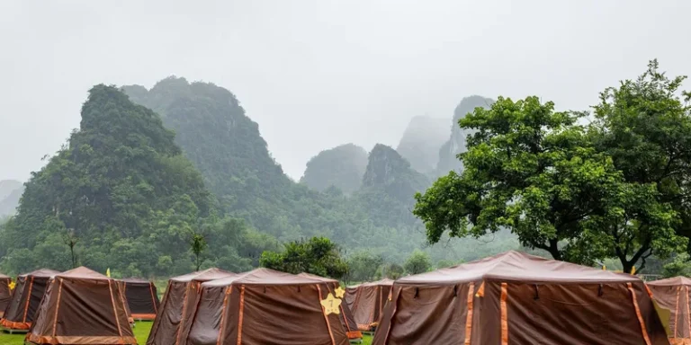 Tents in a lush green campsite with scenic mountains in the background on a misty summer day