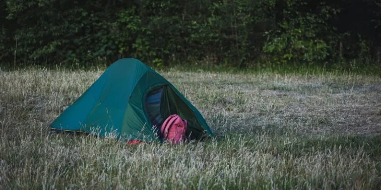 Green tent set up in a peaceful grassy field near forest edge