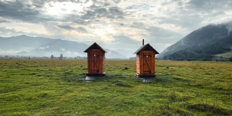 Explore the serene Altai landscape with twin wooden outhouses amidst a lush green field and cloudy sky