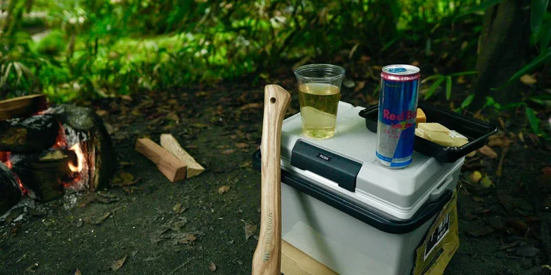 Coolers and Food Storage guides for car campers