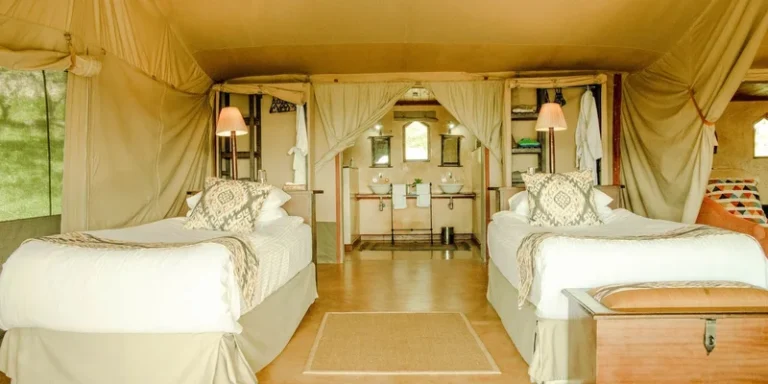 Elegant safari tent interior with twin beds and rustic decor, embodying luxury camping vibes