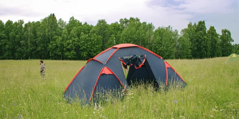 A blue tent pitched in a lush green meadow with a forest backdrop