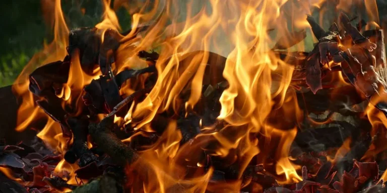 Close-up image of vibrant flames consuming wood in an outdoor fire pit
