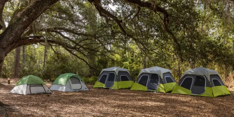 A row of tents in a peaceful forest camping site under a large tree